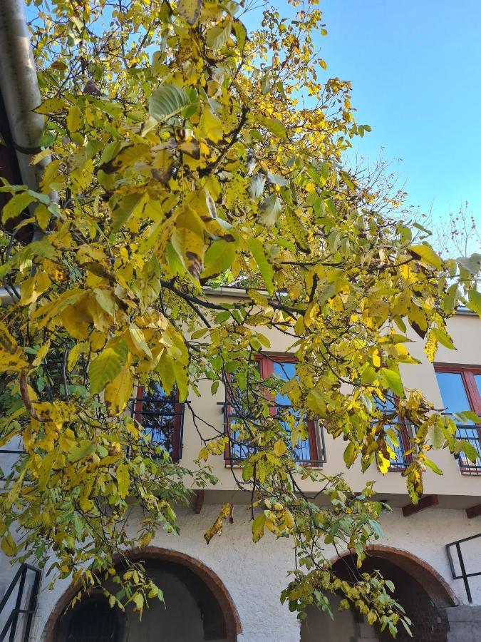 Palantir Panzio Bed and Breakfast Miskolc Buitenkant foto